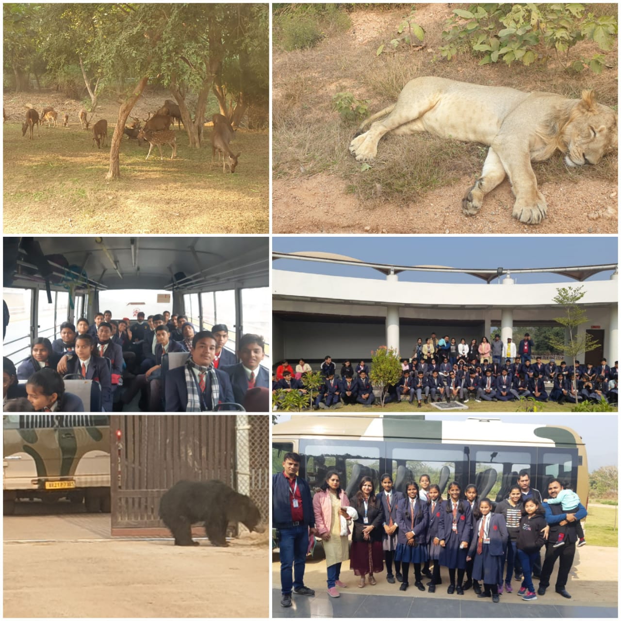 EDUCATIONAL TRIP TO RAJGIR WILDLIFE SAFARI (2022)